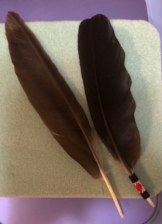 May 17 - Hawk feather presented to us on our evening walk. Raven feather on the right for comparison.
