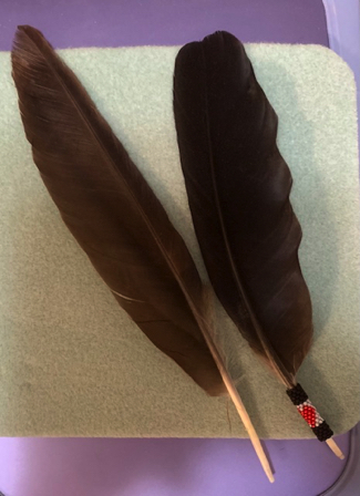 May 17 - Hawk feather presented to us on our evening walk. Raven feather on the right for comparison. May 17 - Hawk feather presented to us on our evening walk. Raven feather on the right for comparison.