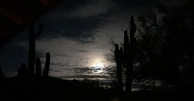 Morning Moon